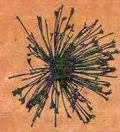The tumbleweed was Helen de Leeuws logo and trademark design 